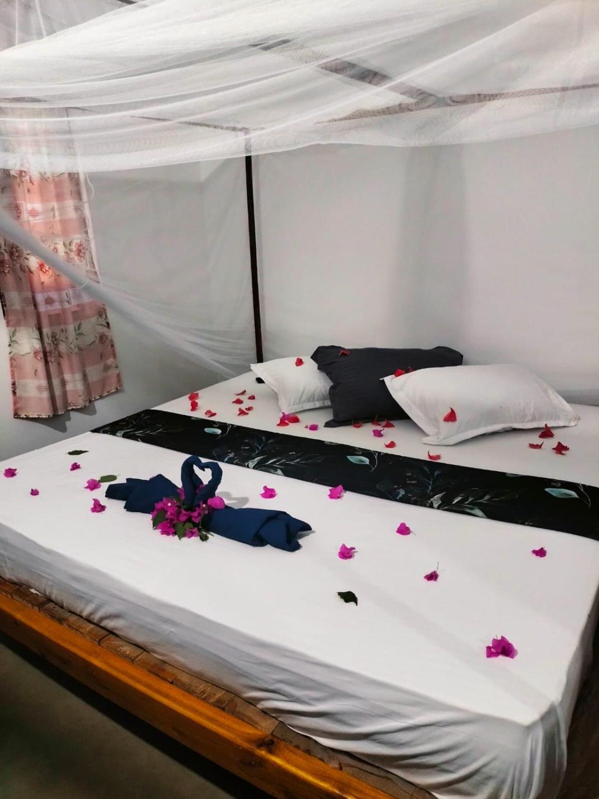 Costels Arugambay Hostel Vịnh Arugam Phòng bức ảnh