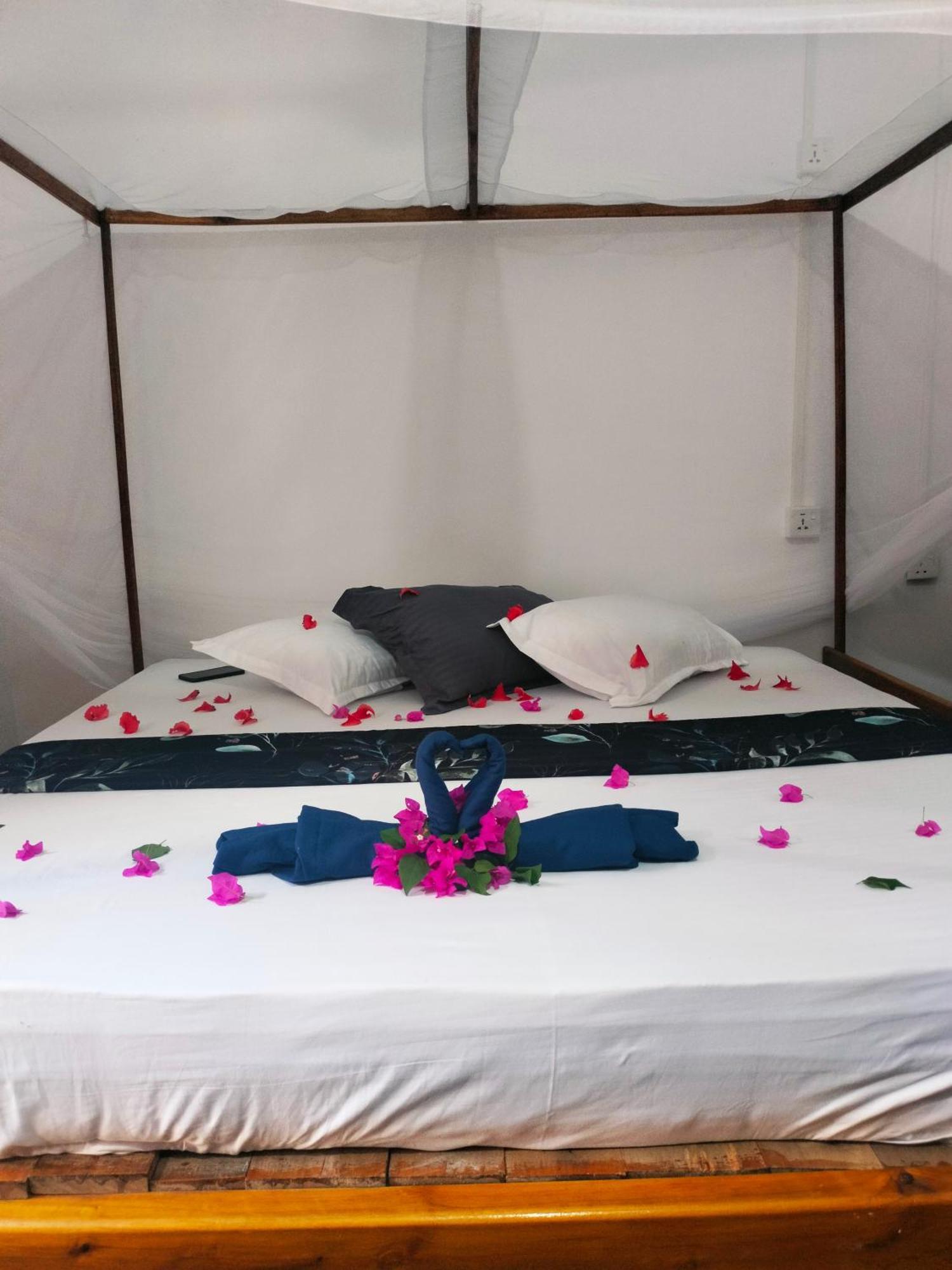 Costels Arugambay Hostel Vịnh Arugam Phòng bức ảnh