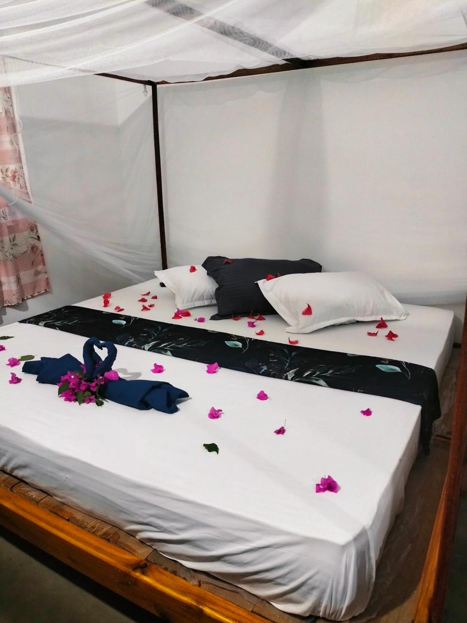 Costels Arugambay Hostel Vịnh Arugam Ngoại thất bức ảnh